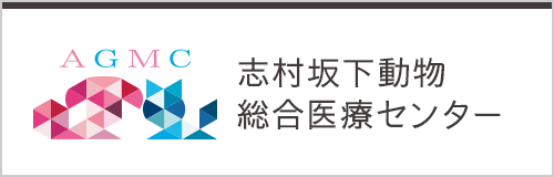 志村動物総合医療センター