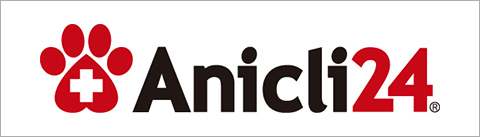 Anicli24